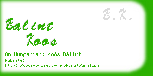 balint koos business card